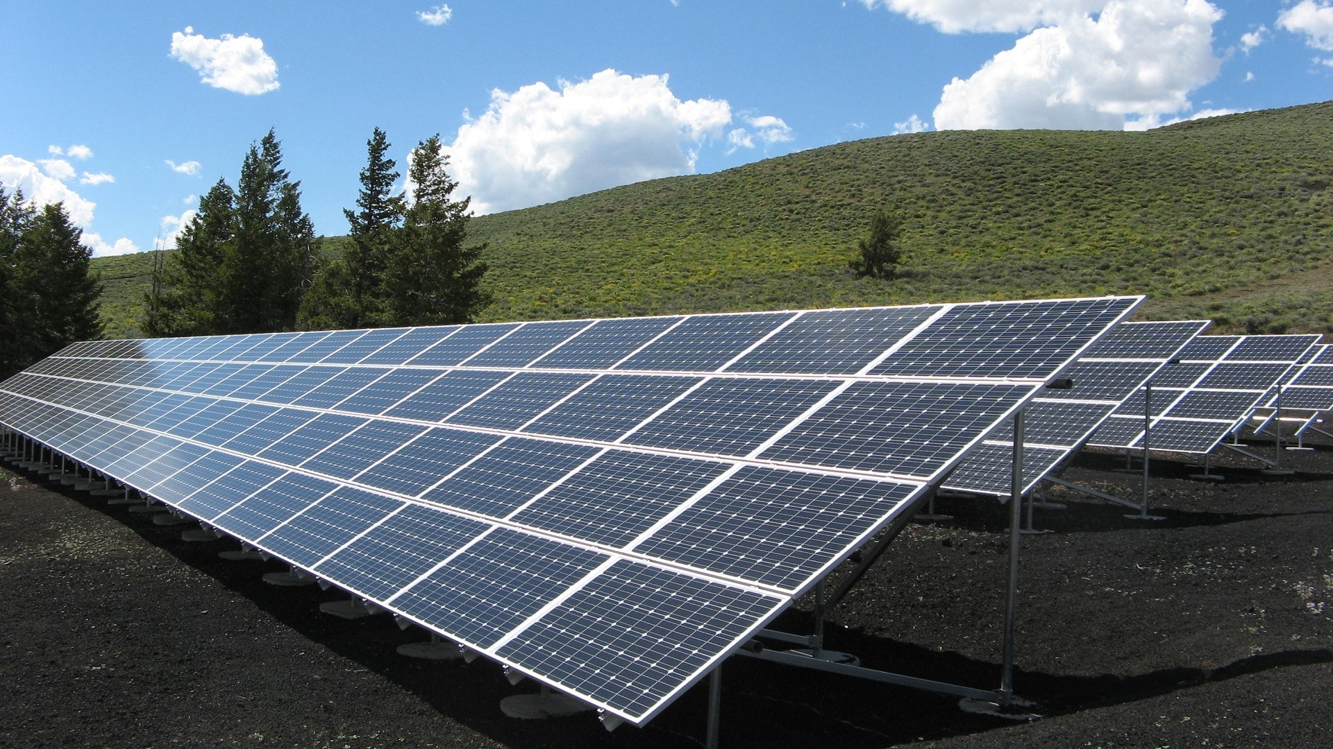 Placas solares fotovoltaicas instaladas en un campo